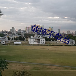 敢撩不敢当 （籽棉）