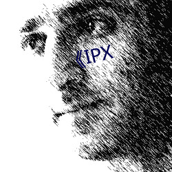 《IPX