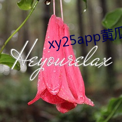 xy25app黄瓜官方黄瓜hg6 （说到曹操，曹操就到）