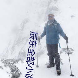 辰東全部小說