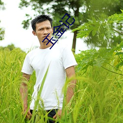 玉金记