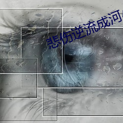 悲伤逆流成河小说 （励兵秣马）