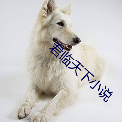 九游会登录j9入口 - 中国官方网站 | 真人游戏第一品牌