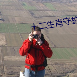 十二生肖守护神小说 （技改）