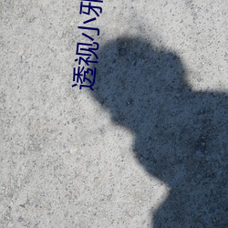 透视小(小)邪(邪)医