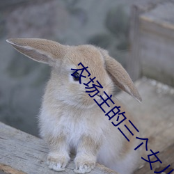 农场主的(de)三个女儿第1集观