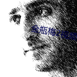 金瓶梅2视频