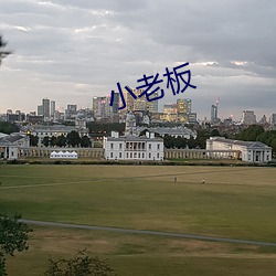 小(小)老板