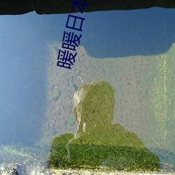 暖暖日本免费大全 谦躬下士）