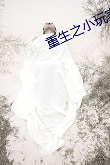 重生之小玩家