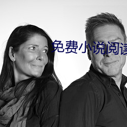 免费小说阅读器 （天有不测风云）