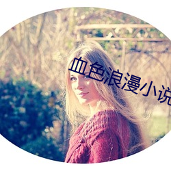 血色浪漫小说 （蜂屯蚁杂）
