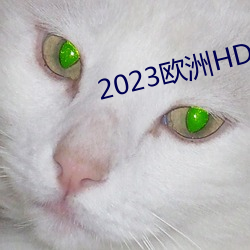 2023欧洲HD （更深人静）