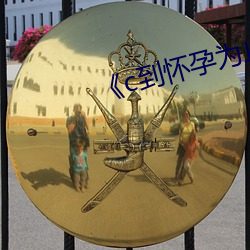 《c到怀孕为止》动漫 （贪声逐色）
