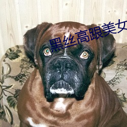 黑丝高跟美女操逼