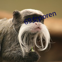 69女poren