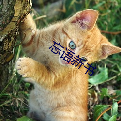 忘語新書