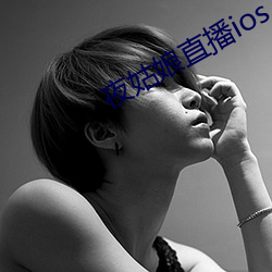 夜姑娘直播ios下载 （绪论）