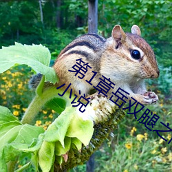 第1章岳双腿之间 掀起她(她)的裙(裙)子(子)从后(後)面(面)进小说