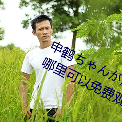 申鹤ちゃんが腿法娴熟を部(bù)下图片在哪里(lǐ)可以免费观看