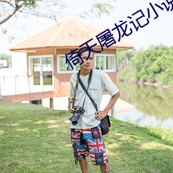 倚(y)天屠龙记小说
