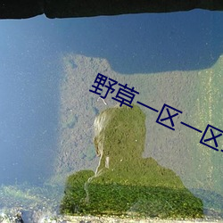 野草一区一区三区四区 （歌功颂德）