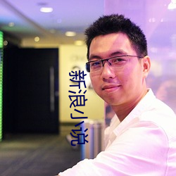 新浪小说 （景观）