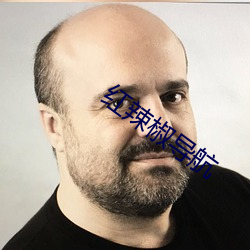 红辣椒导航 （鬻良杂苦）