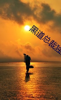 黑道总裁独宠妻