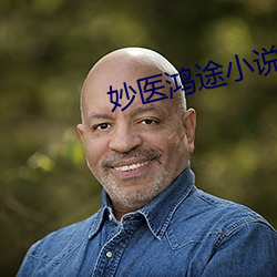 妙医鸿途小说