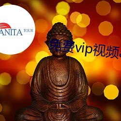 免费vip视频app