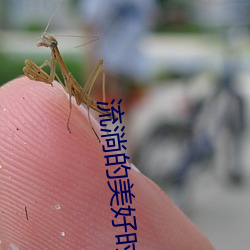 流淌的美好时光免费观看 ��和颜说色）