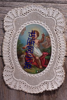 书连(lián)网小说(shuō)