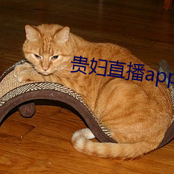 贵妇(fù)直播app