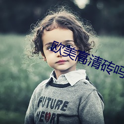 欧美高清砖吗