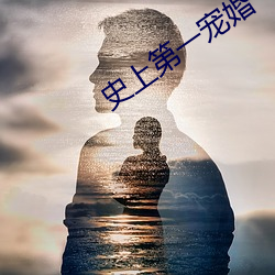 史上第一宠婚