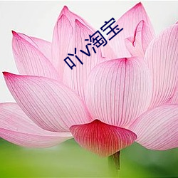 吖v淘宝 （东撙西节）