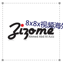 8x8x视频海外华人免费版 （鱼目混珠）