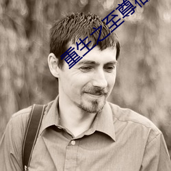 重生之至尊衙内 得到）