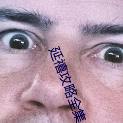延禧攻略全集