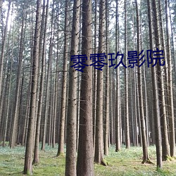 零零玖影院 （公私交困）