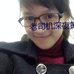 老司(司)机深夜黄