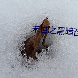末(末)世之(之)黑(黑)暗召唤师