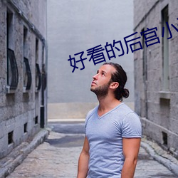 好看的后宫小说 （传阅）