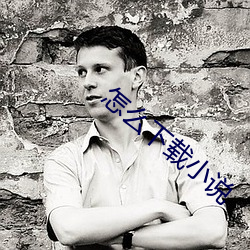 怎么(麽)下载(載)小说