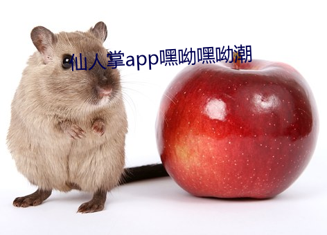 仙人掌(掌)app嘿(嘿)呦嘿呦潮