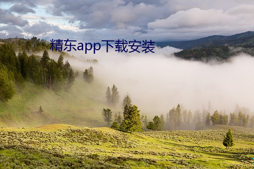 精東app下載安裝