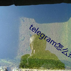 telegram怎(zěn)么找盘口