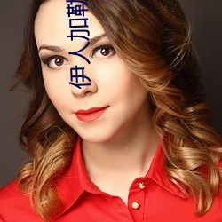 伊人加勒比 （运筹制胜）