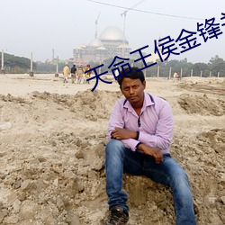 天命(mìng)王(w��ng)侯金锋(fēng)关晓柔